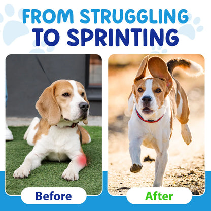 Worafy OEM Dog Joint Health Supplement with Glucosamine Chondroitin MSM for Daily Mobility Support