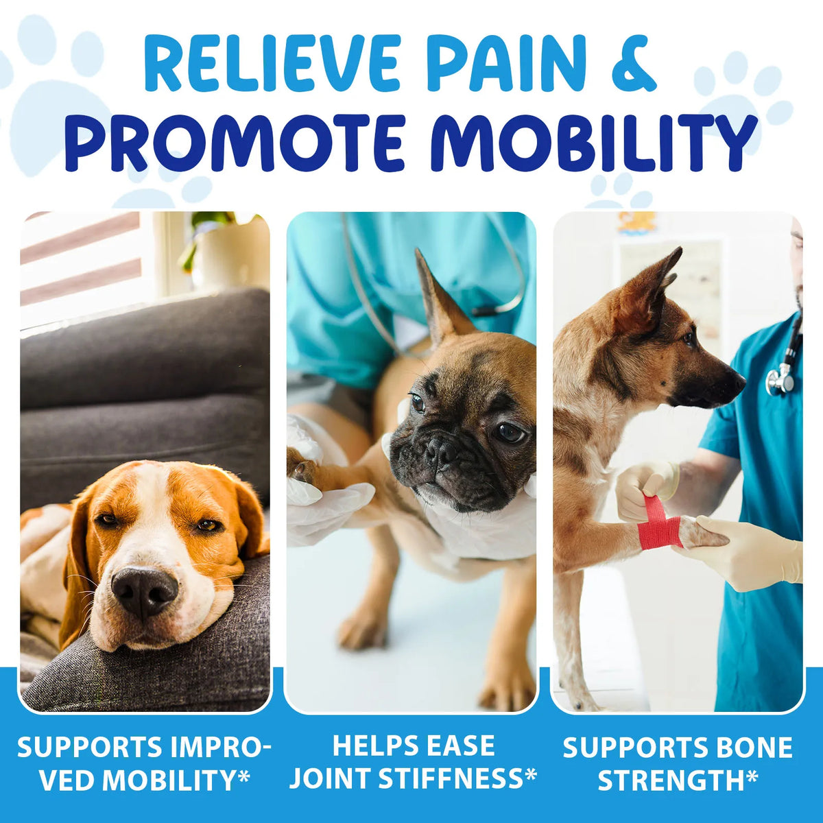 Worafy OEM Dog Joint Health Supplement with Glucosamine Chondroitin MSM for Daily Mobility Support
